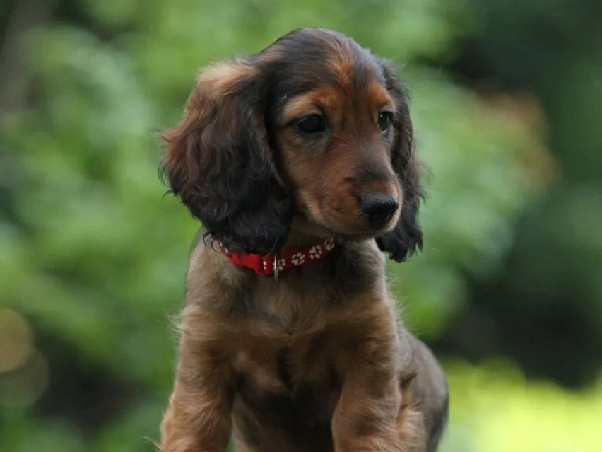 avito-1752948680291-shot