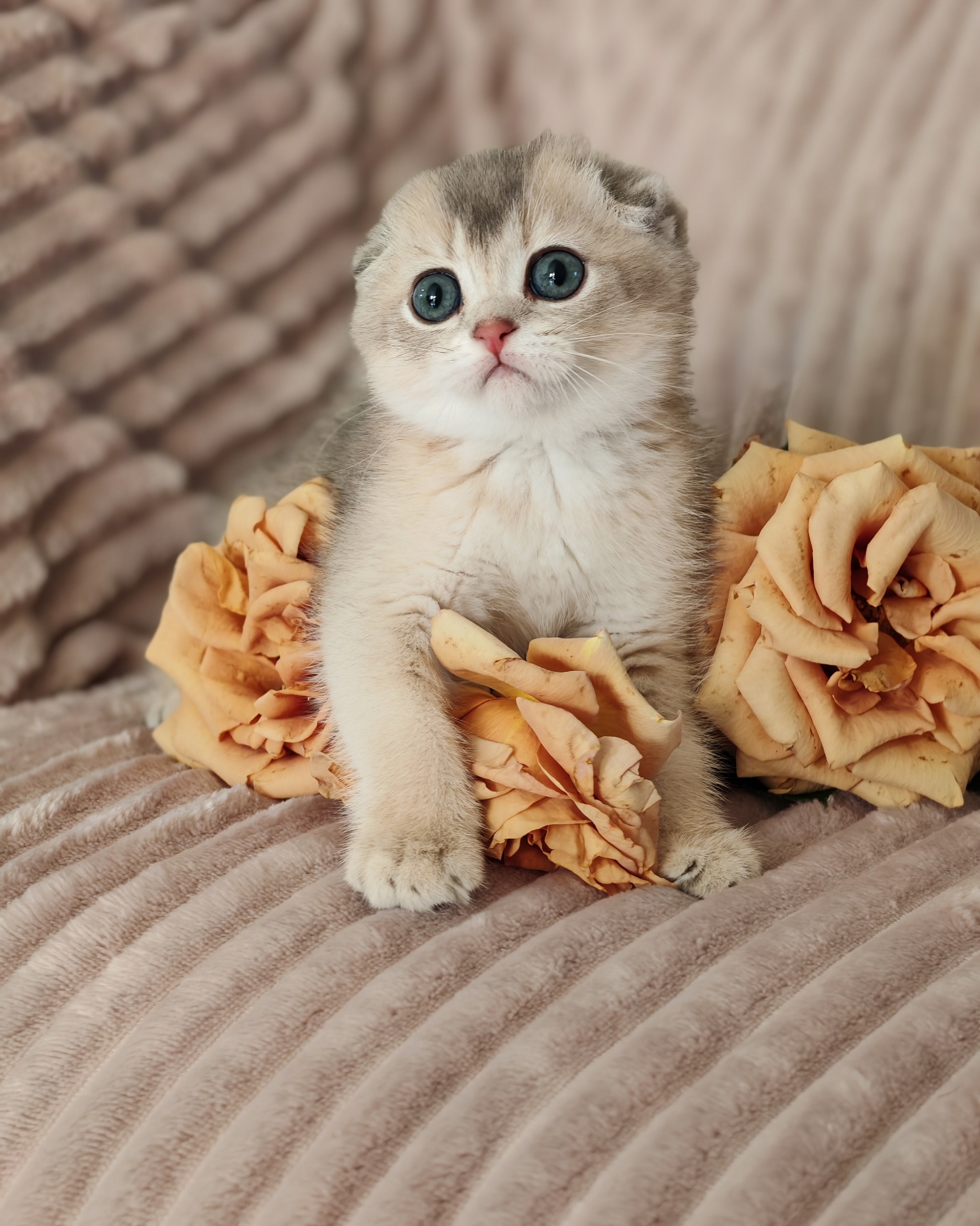 dxb3K8wIAs7Lq4nLF5H2It9tlmuuEjyUmrvyZxXULDuMPFGfNOzZPBRODChWHSoa4fsdoouD241_j9qKolYAVLG1