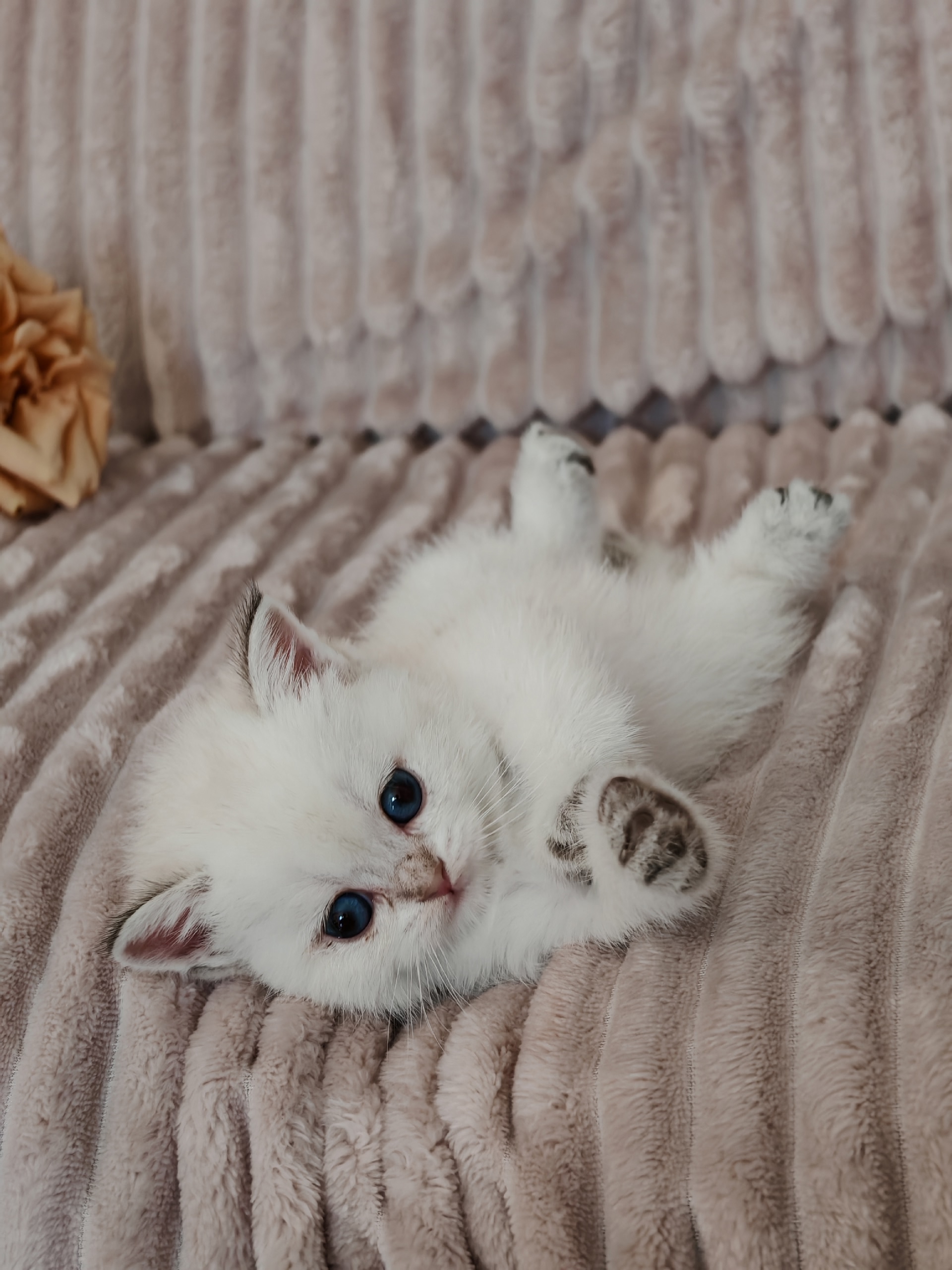 hHMGdM7I0NlowjktoNI40ndu3VXcGP7Zdl3Q7T9Zg-u7RrwT4aTJ4msoPG2kmIRTeQwxFReH3u6bc28pKlXf0UXJ