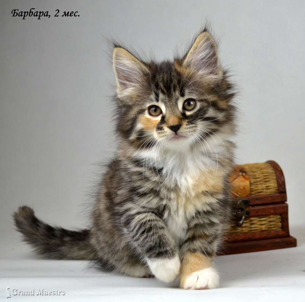 information_items_3475