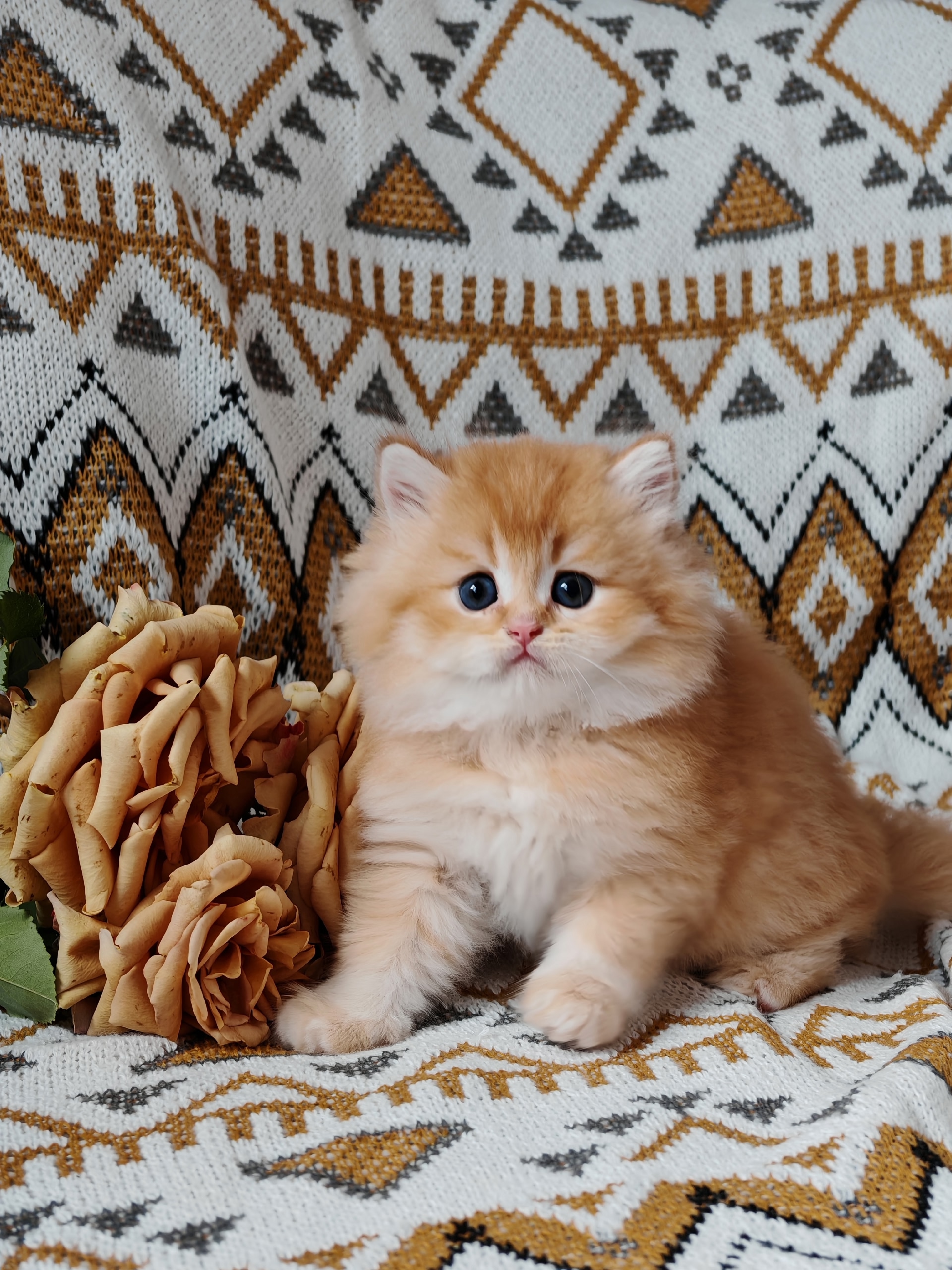 yHM0WXD8gcmnS1RBRNXnyFZjyxbPxXIqQ2o4lmeYJKKkQDUL_gCZZStjN-Z7WRKMMrMMbx8LzTm6v8UUM-DYx4GR-1