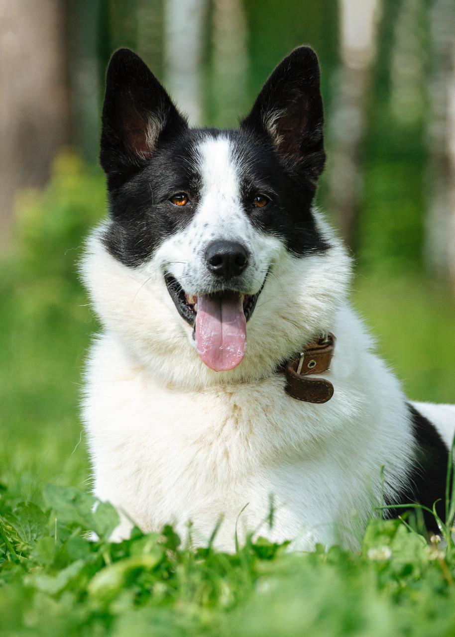 -WhatsApp-2025-07-06-в-10.03.41_9cbd0e32-1