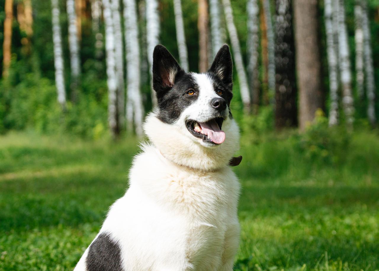 -WhatsApp-2025-07-06-в-10.03.42_8abaed13