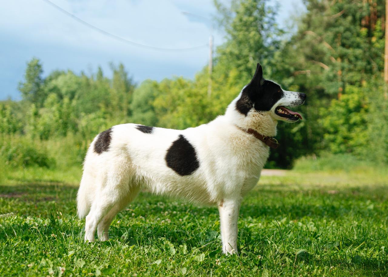 -WhatsApp-2025-07-06-в-10.03.42_9baeafe9-1