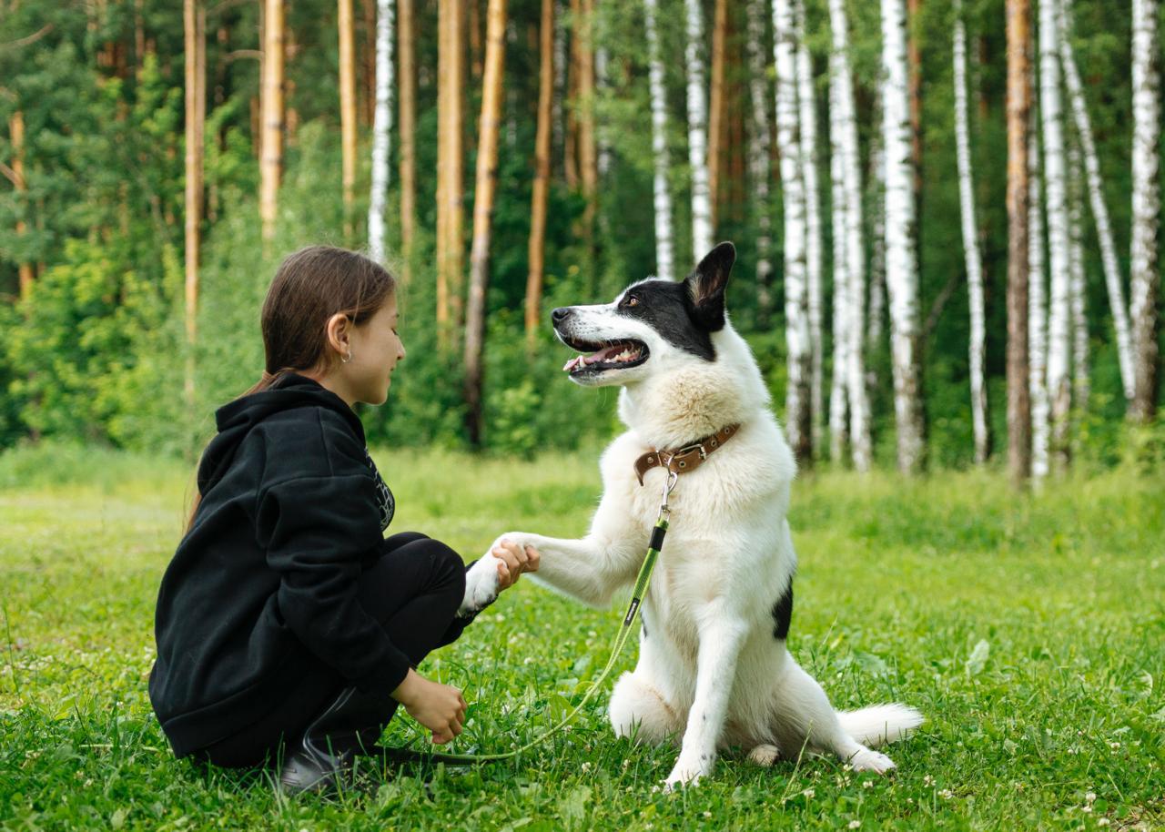 -WhatsApp-2025-07-06-в-10.03.42_ecbb7769