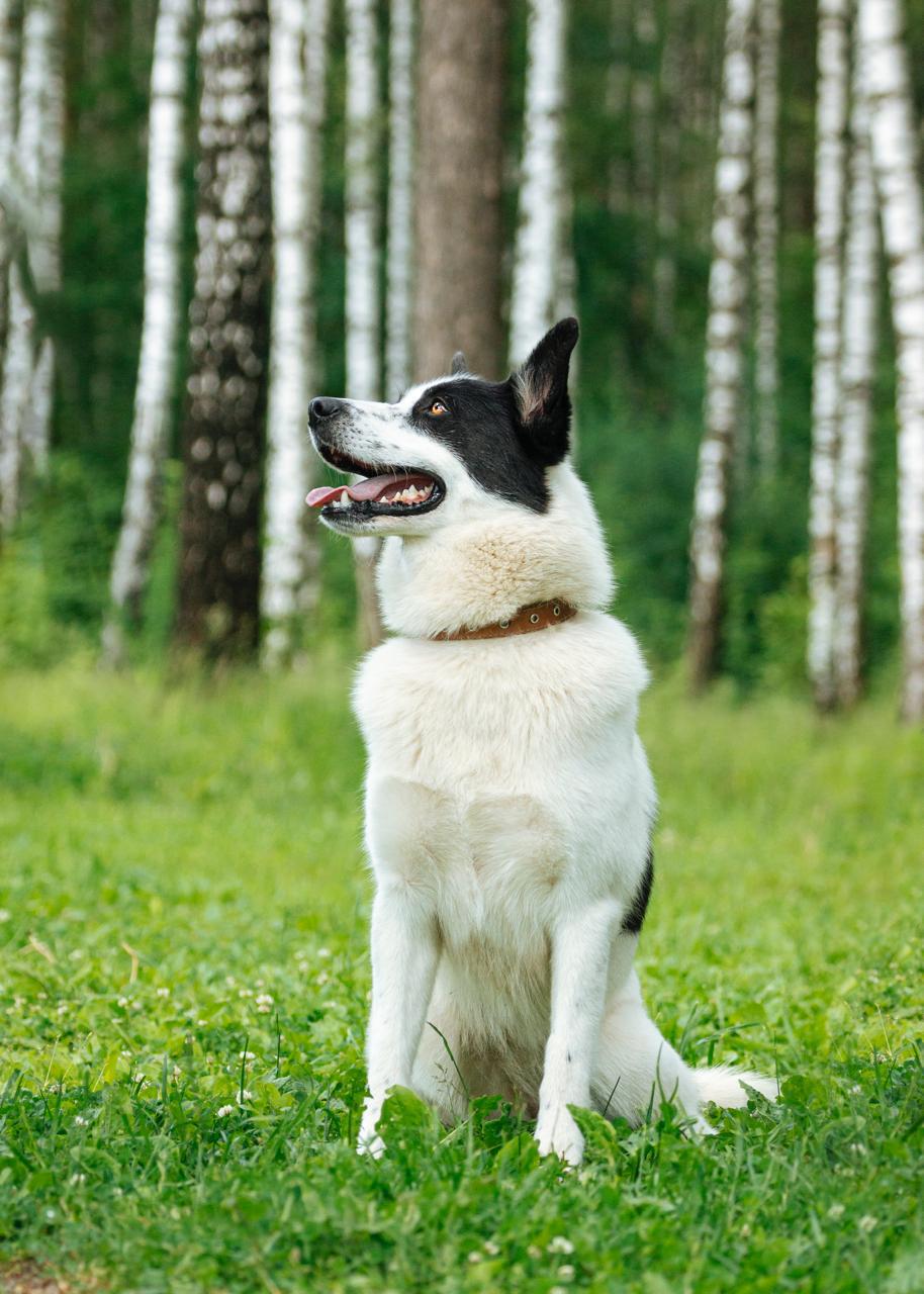 -WhatsApp-2025-07-06-в-10.03.43_e9c1aa20