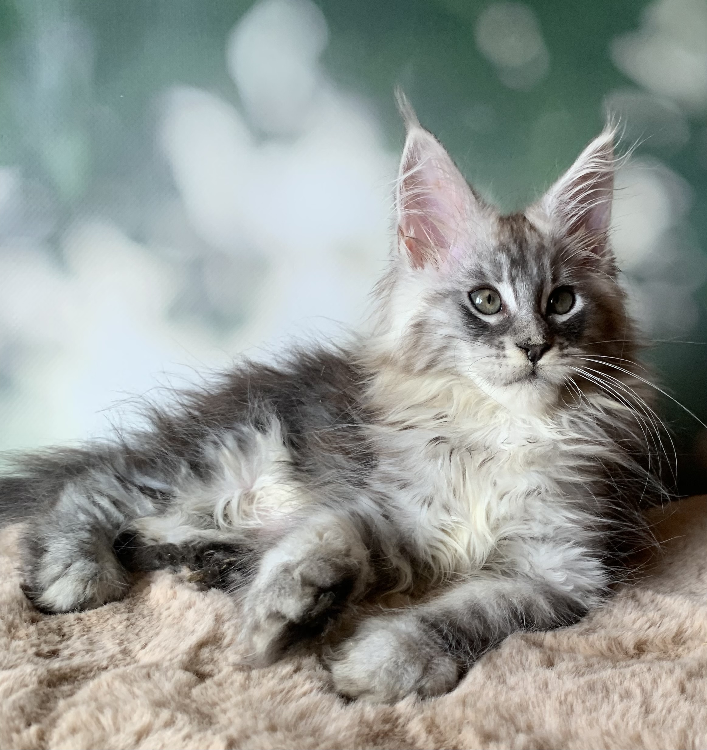 0659409A-C925-42E3-AB08-6969D64E5241