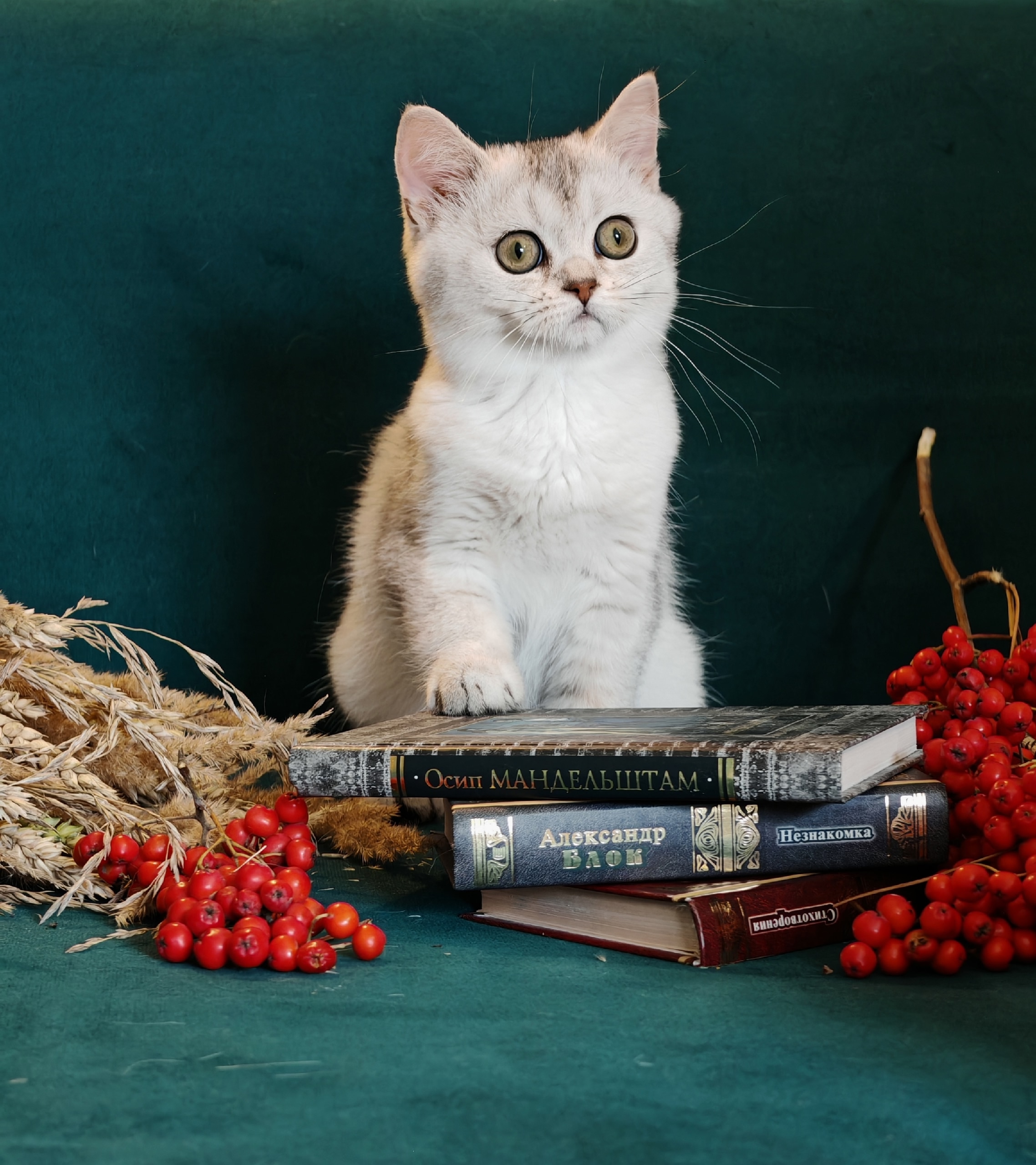 0xW2K0V6dlF_8zs5Tl8_Gxx7JRud8-L64IfCLOwd-_GcPrv8xgcEwuZaF9c6CCCbvbzZNrZzctvL1zuwgtRZ4QAf