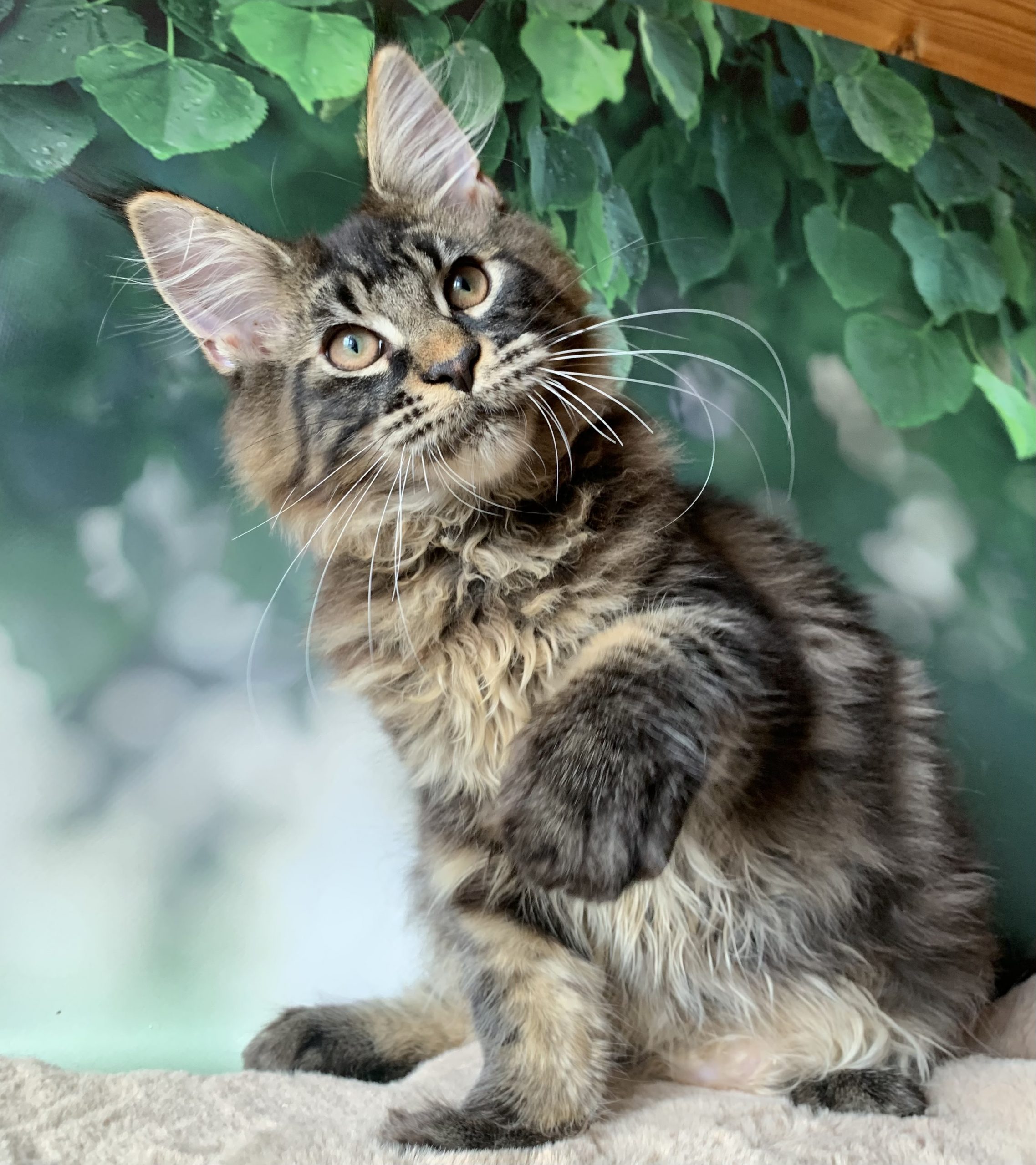 21399C7B-1529-4DFE-B980-9761A01B4BA7