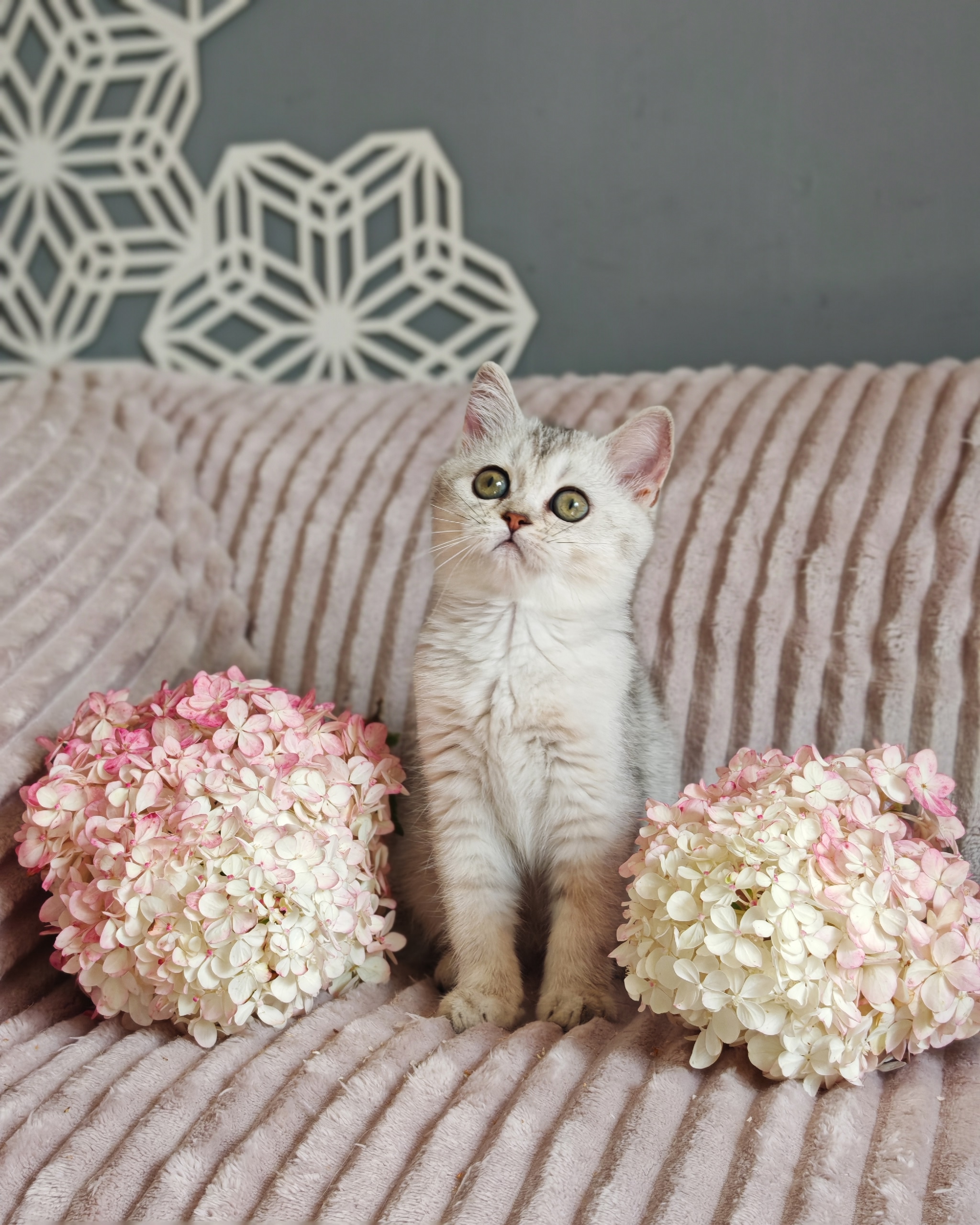 2rOSwW1I_qododma0-vVKDDEbIglI57k8IxgiFCvwSndTPP1y1F6bQk5a9khzCmu0zZYHWegeIdH5-tAmpFzqJrs-1