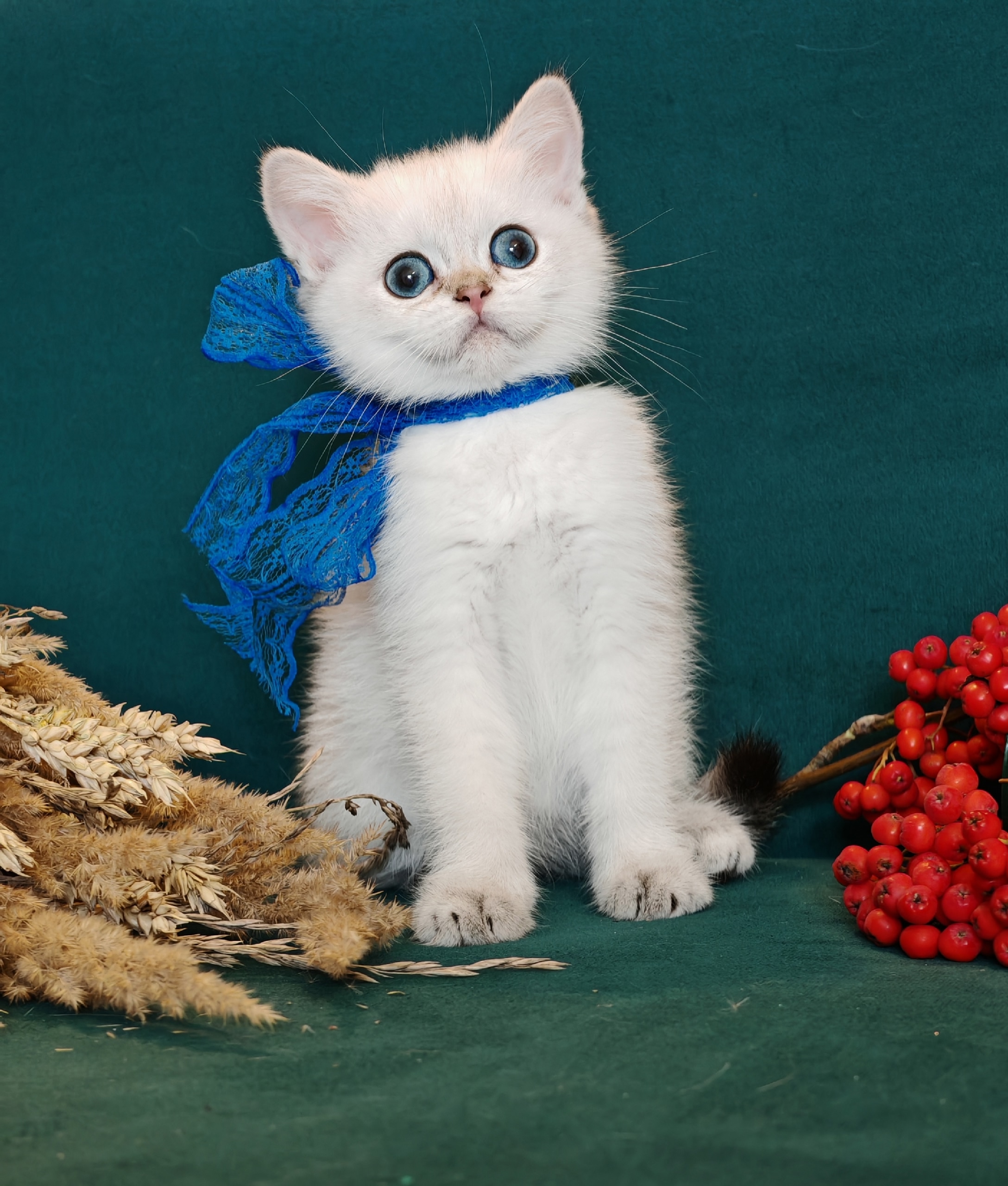 4JGTvOT6wM34xsKV7e7hOKLHzHZKb2xKO5Vh7bi-D3yxainyeXKFIqIZfmgtZ7bUj2JlJScT1jrjmnsiH258eRO