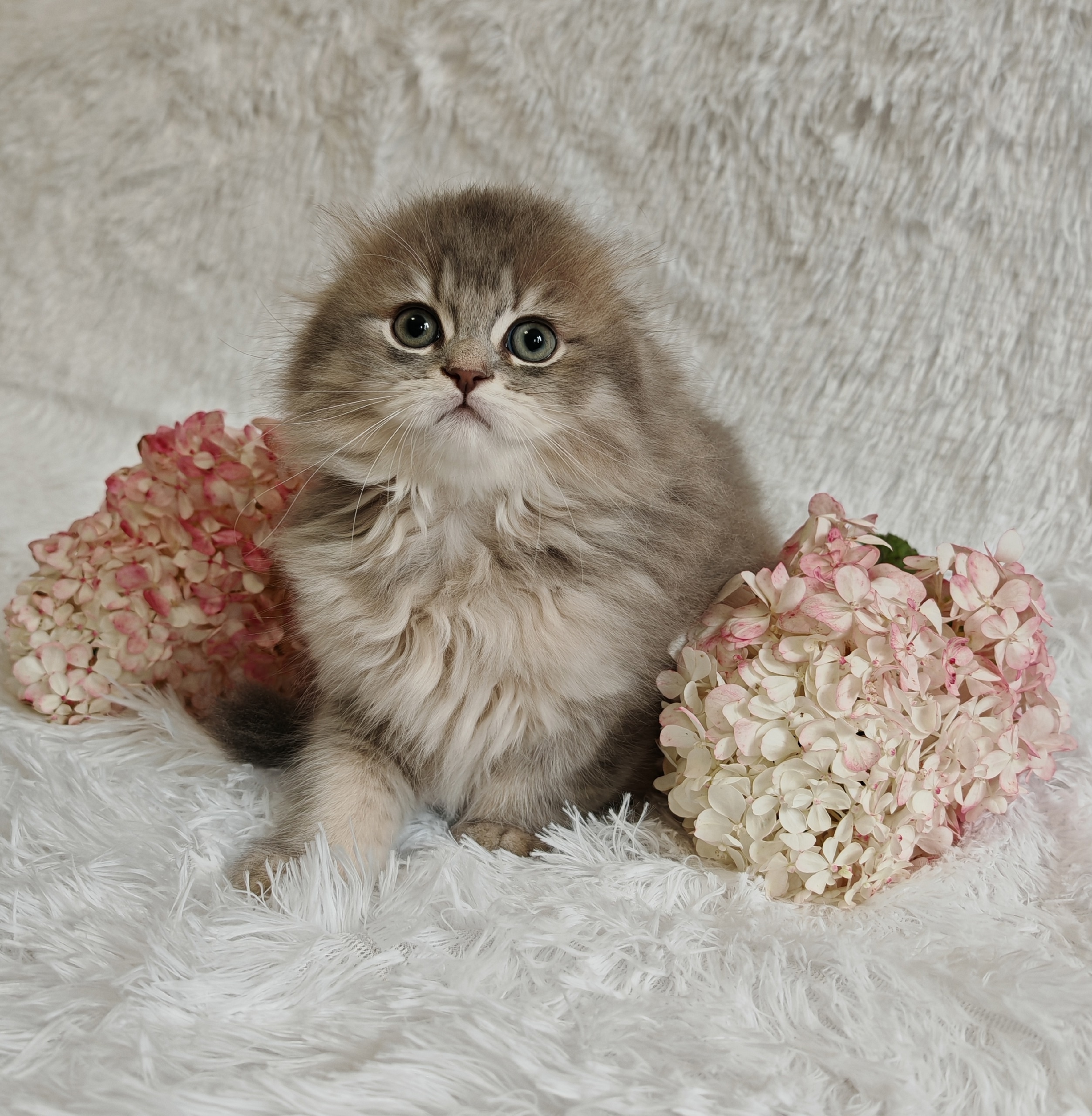 9szwHTOvUBdvJofpizLrRLCxLa4JnseGFrr8XaRX7Sq2YJFB-SvXH8WfMzTUDxdwq72oLNFY-H8smt2gkbGS3KPB