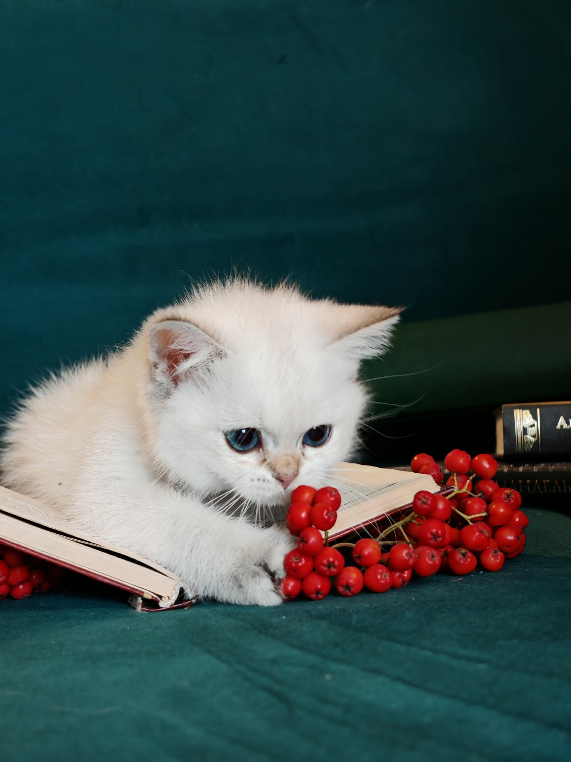 BSfQatz1I04TlJeuk7QyAfVmDaJPq11G1Qw5CuRoV2zu88lGVpqLhgPxQUCR431_hwFuikgpEGnn9hn4DBJ19XLB