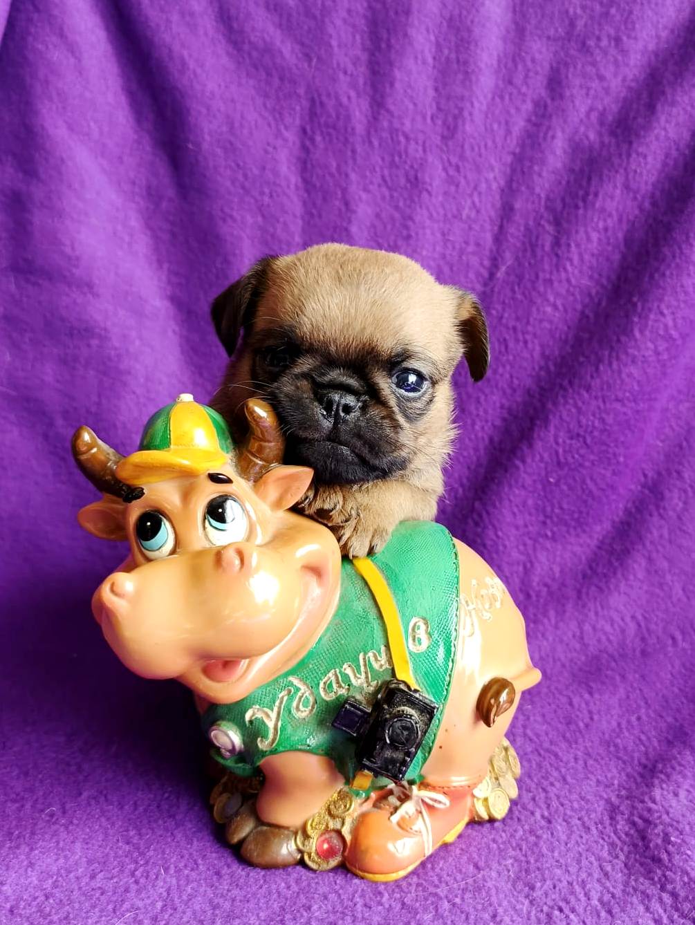 IMG-20250820-WA0020-1