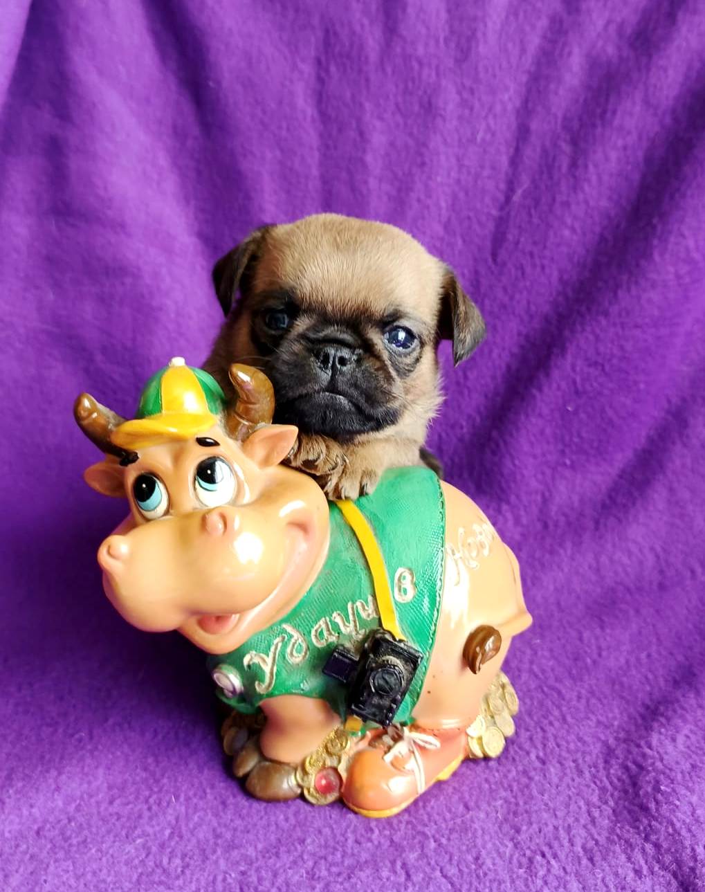 IMG-20250820-WA0024-1