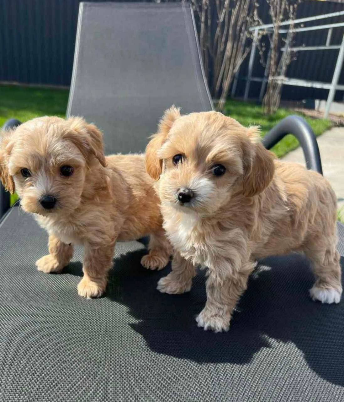 IMG_20250806_091420_126