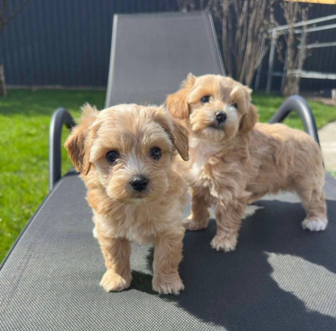 IMG_20250806_091420_147