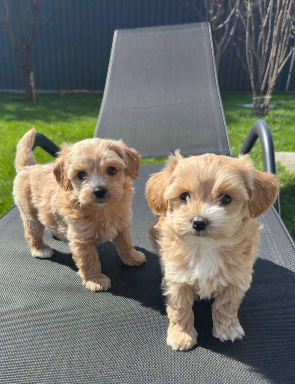 IMG_20250806_091420_377