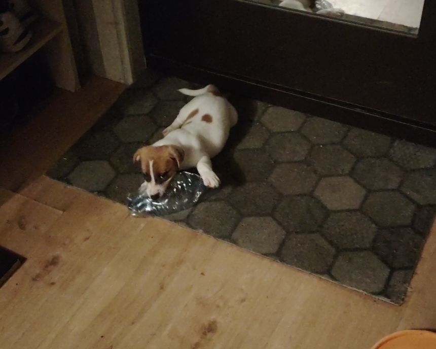 IMG_20250811_111000_1_edit_579593811833641