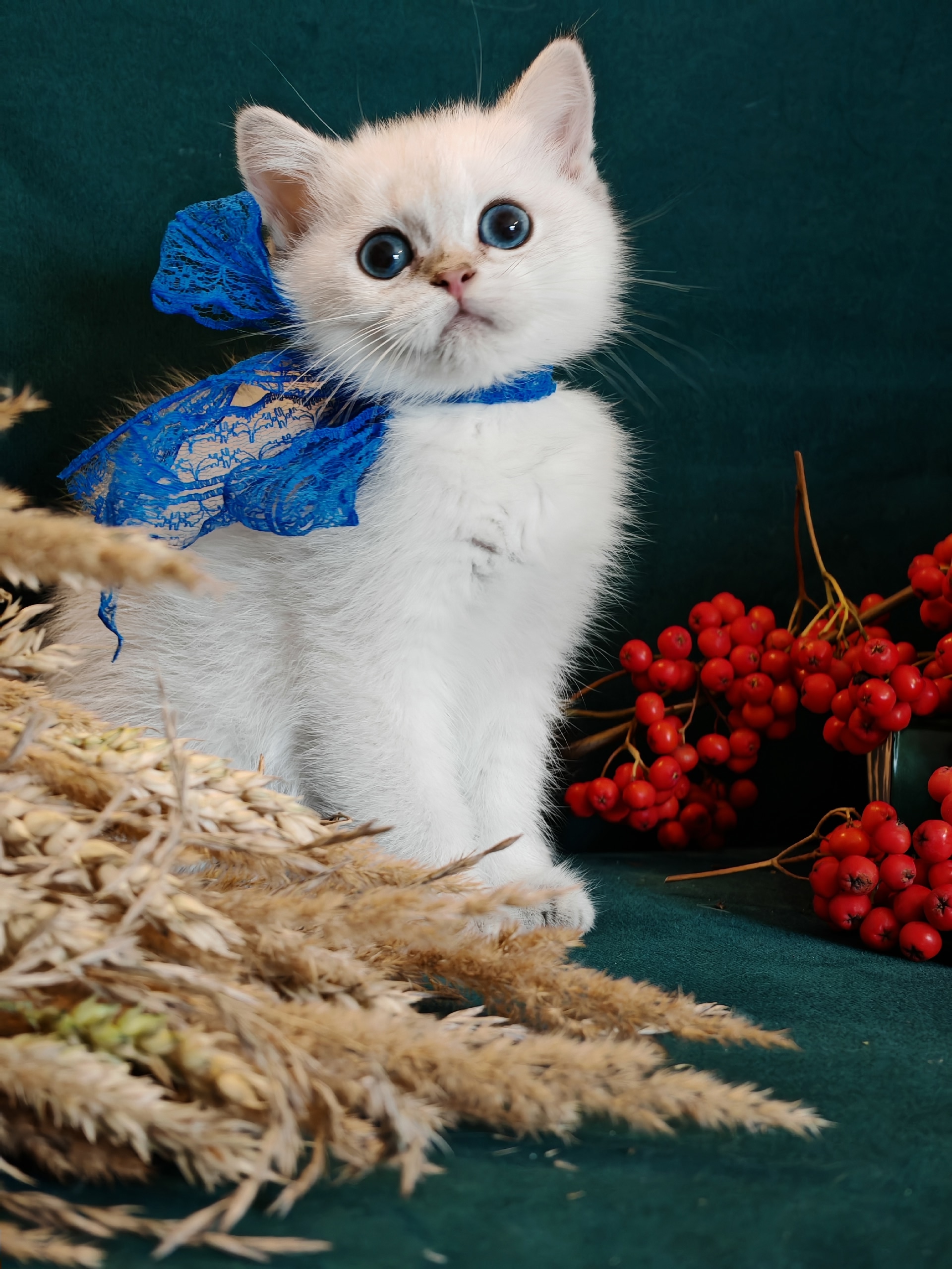 PXNwVSdoe8xEdsOk98jVnYmCEddDEKiCNvjbVn_CNrdPVcowKeNwmJ6EJM4oXr64h26khYY10KG9xmN1rf3wdsP