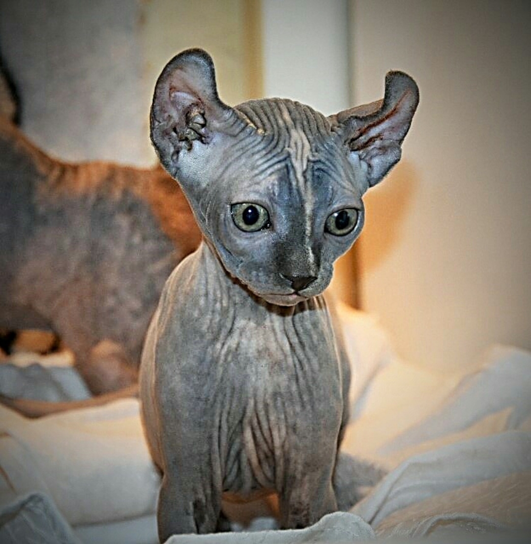 Polish_20250507_014250932