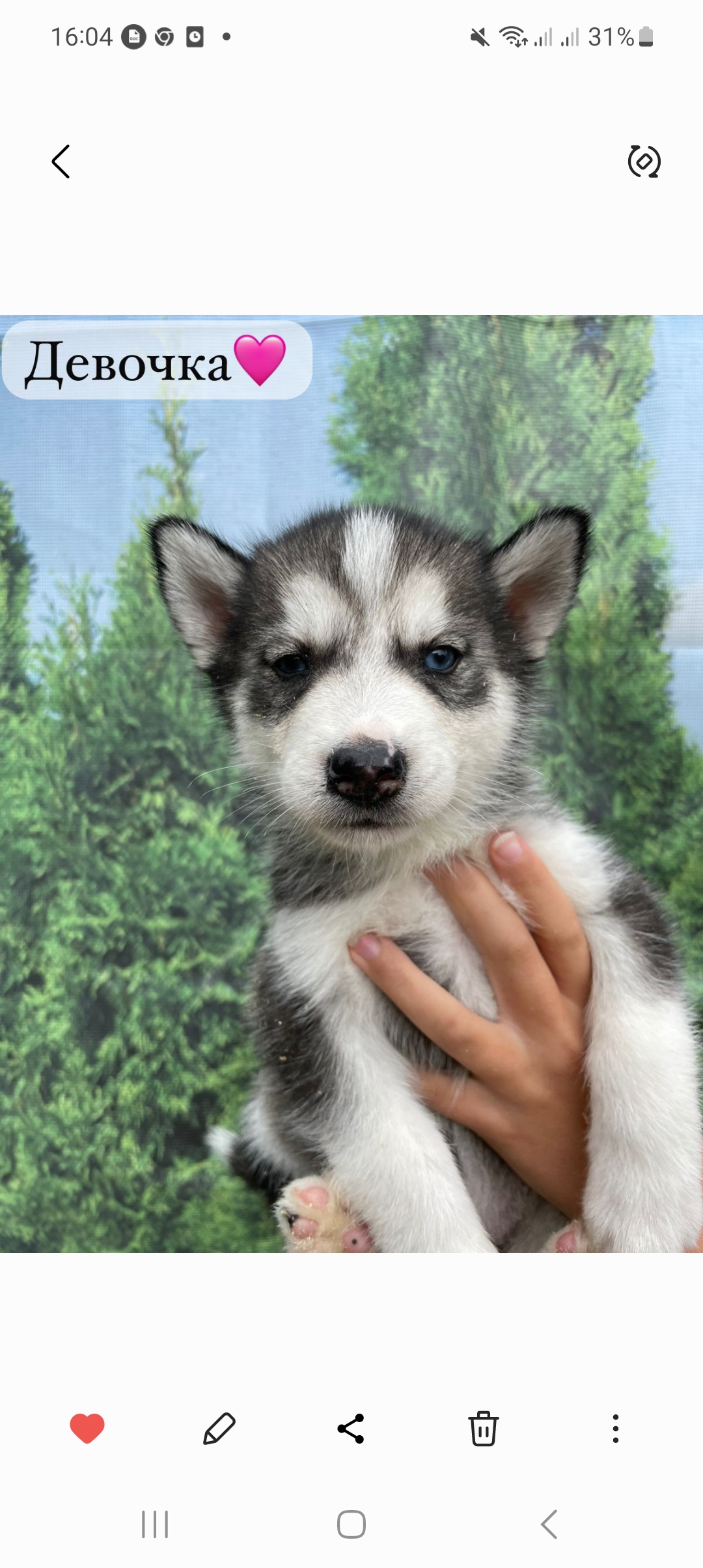 Screenshot_20250730_160440_Gallery