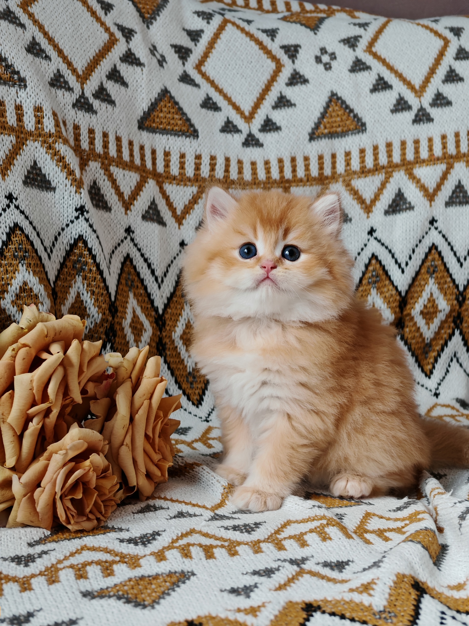 cl5ht_qZERInFPH-4kHrT4_HabGFwUH2K_JotzEZfPcW8fhQ7HDTh_ofjeVC-AGYNFdGXxia_DlM0IzwNAeHlH0Z