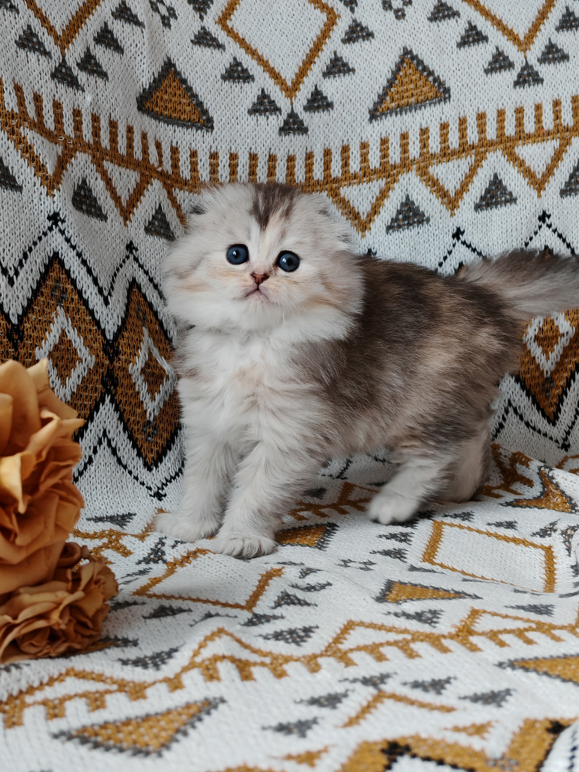 gKEYHl4vLPTqNGZ6hSuPoRVxHijcd3LhA9d3CsLtVIOa5IMgoqy7NVw9rjALO4BSoIWzBDB9GuRKwj3pTi9iwwn3