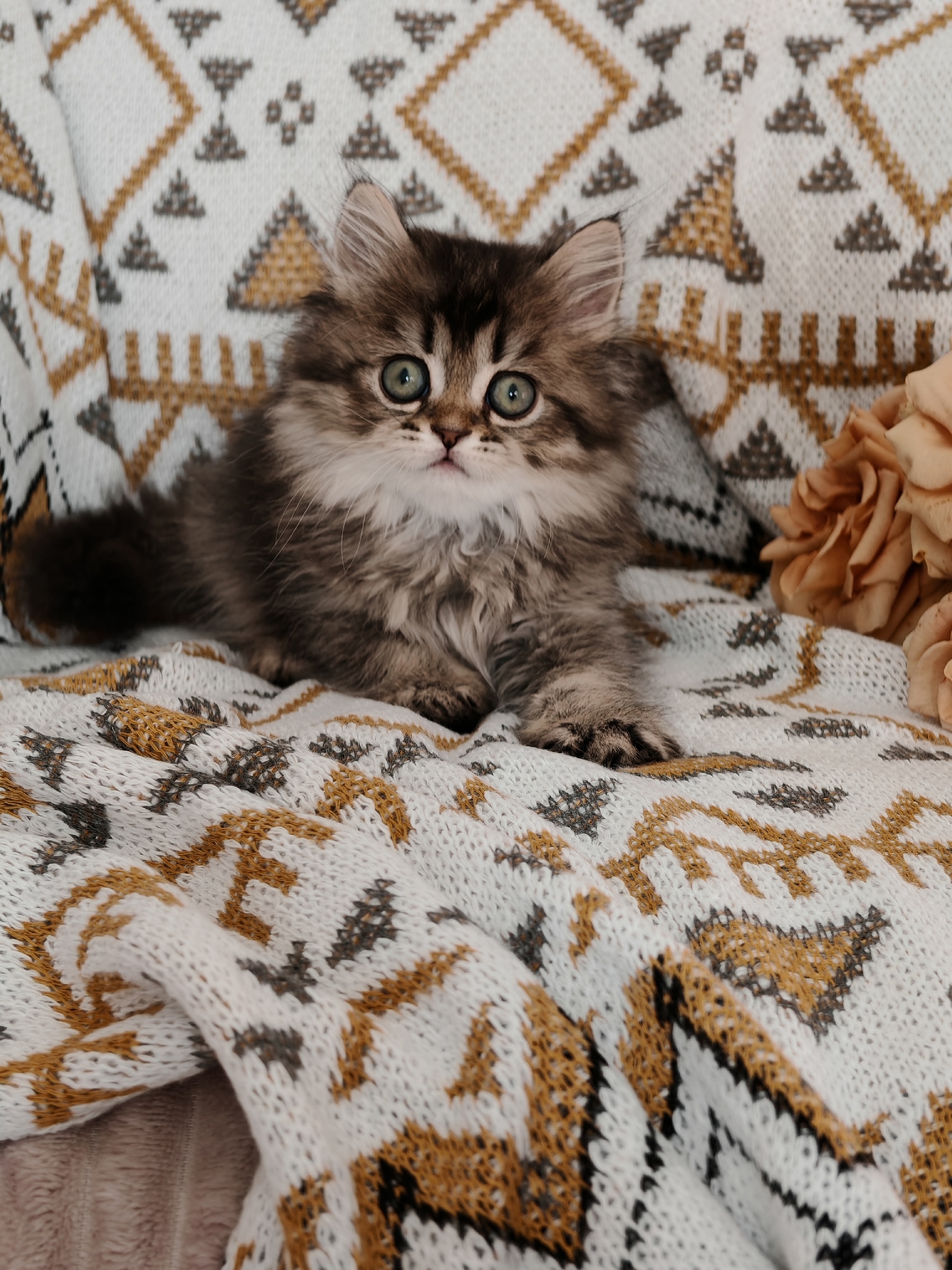 iT8N8LhVfzvaeIKkSD-Pvkpvde0grqd0PyNN0AkCOrQT33VfCq6tRBubNWQ1xgML2mvgcopSaqyIyuokkzXHqq8H