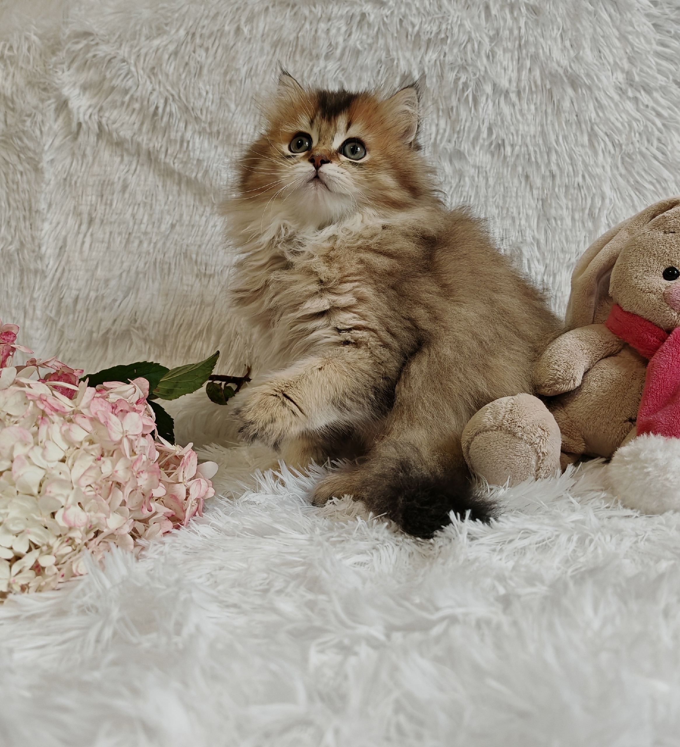 jQFRXwsrk2D2mjyyuQGbFWkpuDnQt4OSAbSHlLX0rNq8OqqDKJGsVNAu9f6Q94mbQPULAyUjFBPqRfKYIxo5l3N0