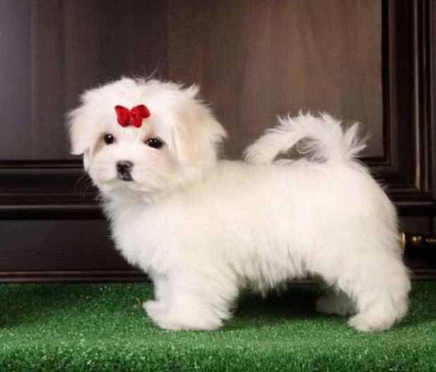 photo_2024-10-05_10-22-59-3