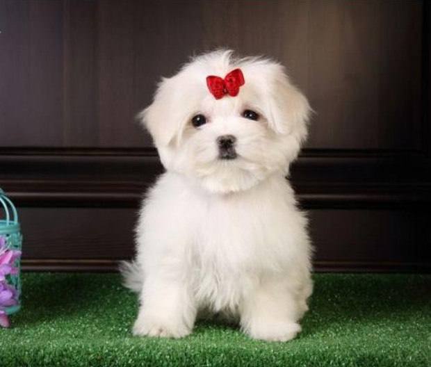 photo_2024-10-05_10-23-00-2