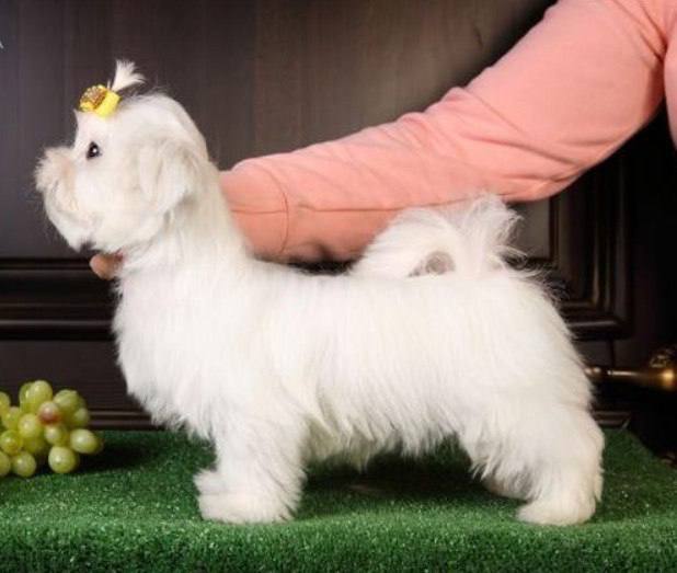 photo_2024-10-05_10-23-00-3