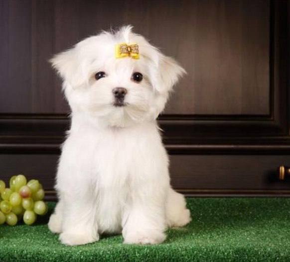 photo_2024-10-05_10-23-00