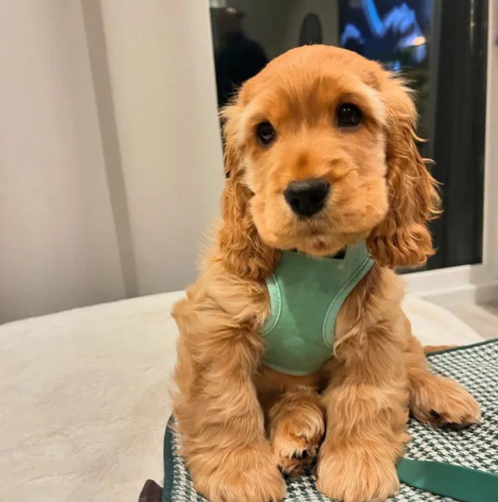 photo_2025-03-20_11-25-20-2