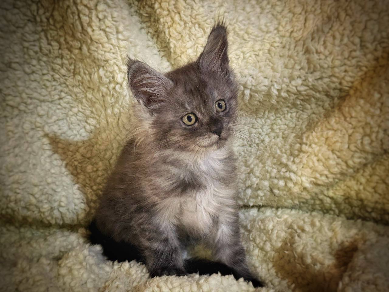 photo_2025-08-26_16-17-44