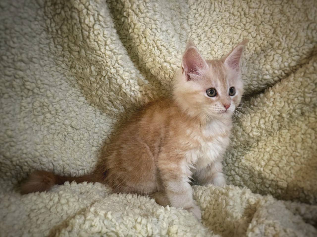 photo_2025-08-26_16-17-47