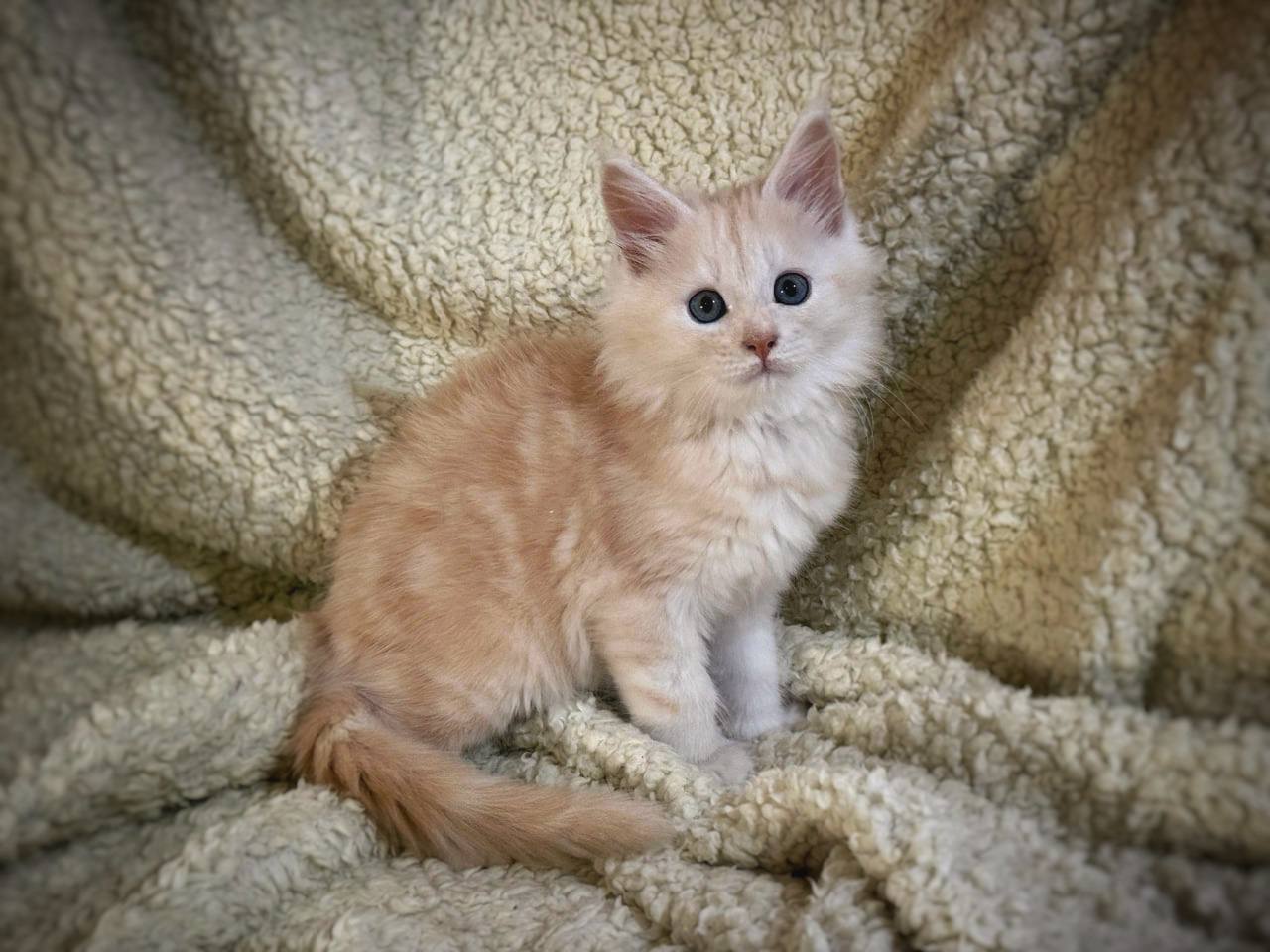 photo_2025-08-26_16-17-50