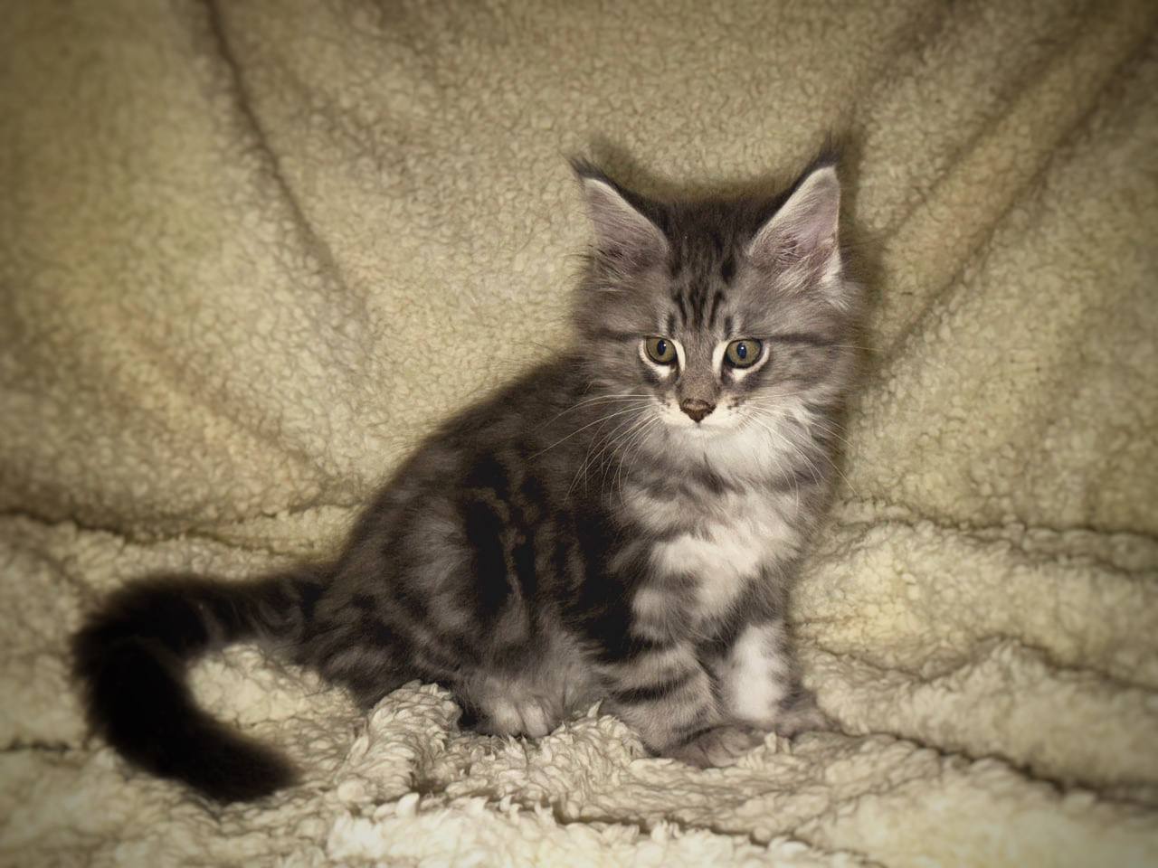 photo_2025-08-26_16-17-54