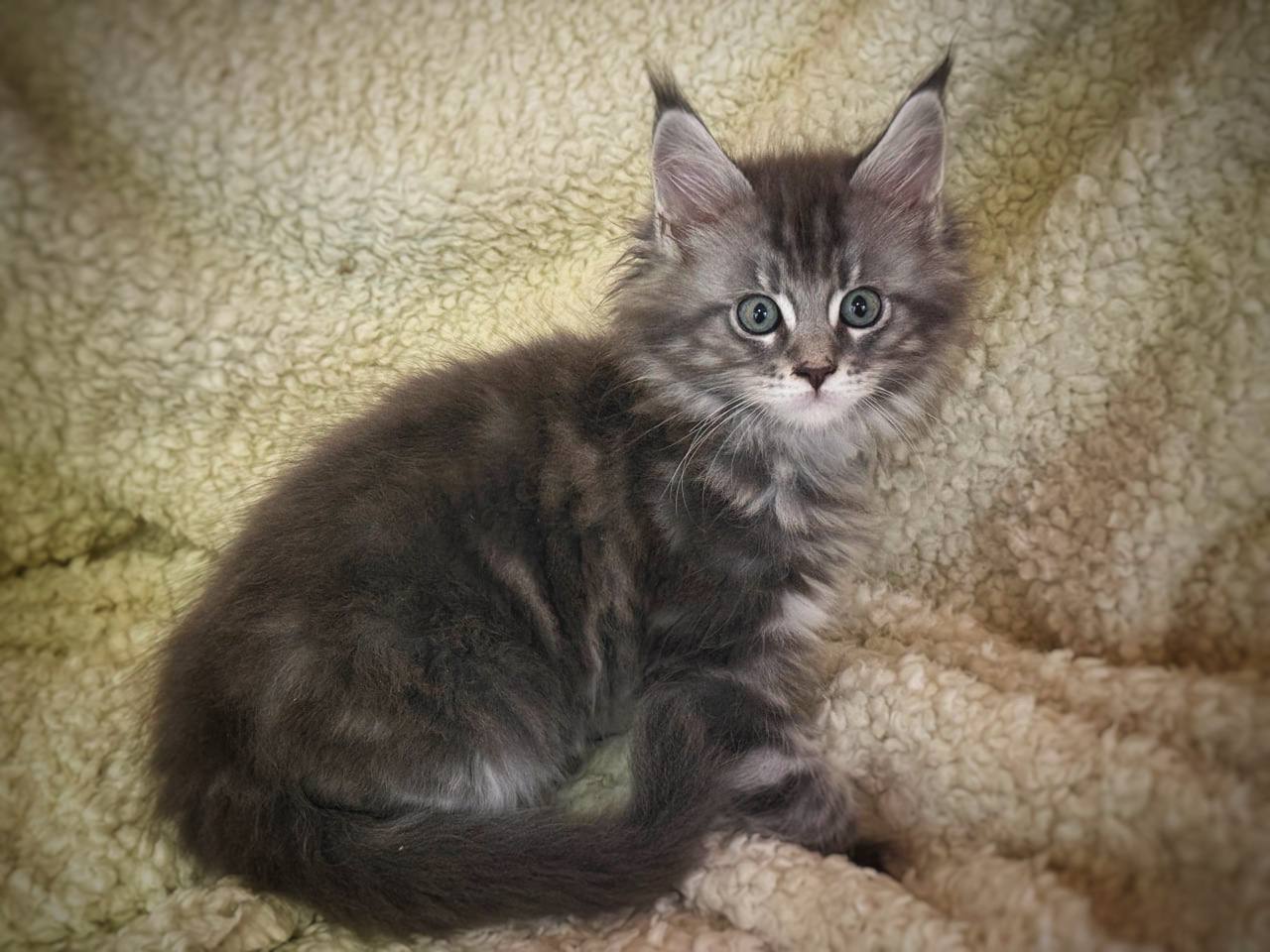 photo_2025-08-26_16-17-56