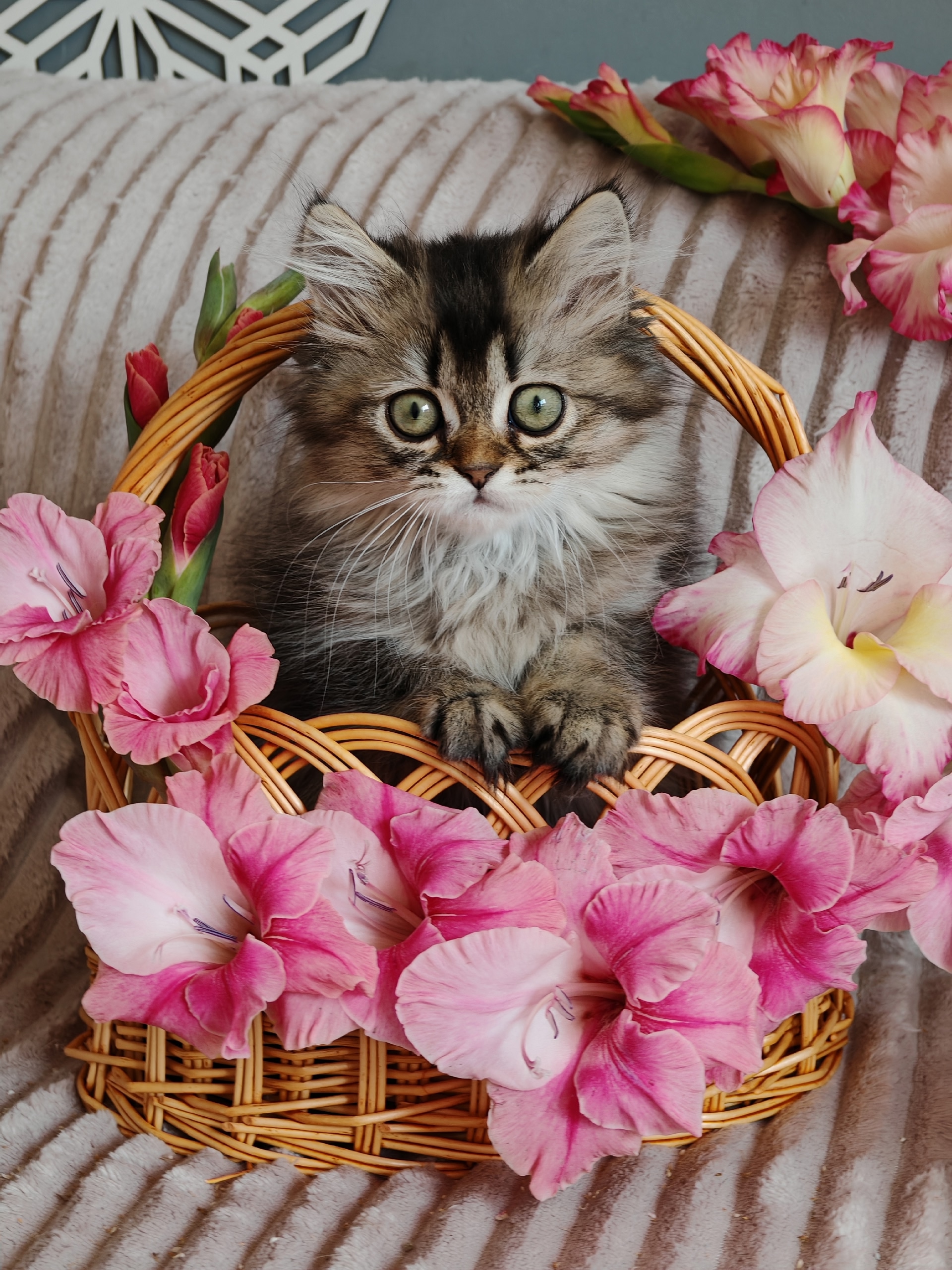 x6saIFKqJ8dx95uNaX2eYdjAo_HDsJlVDMOkZkuxDI6fsRMOTyPSy-7cZHvpEmMsnAEetCclXWBJPsnsBKMgeALg