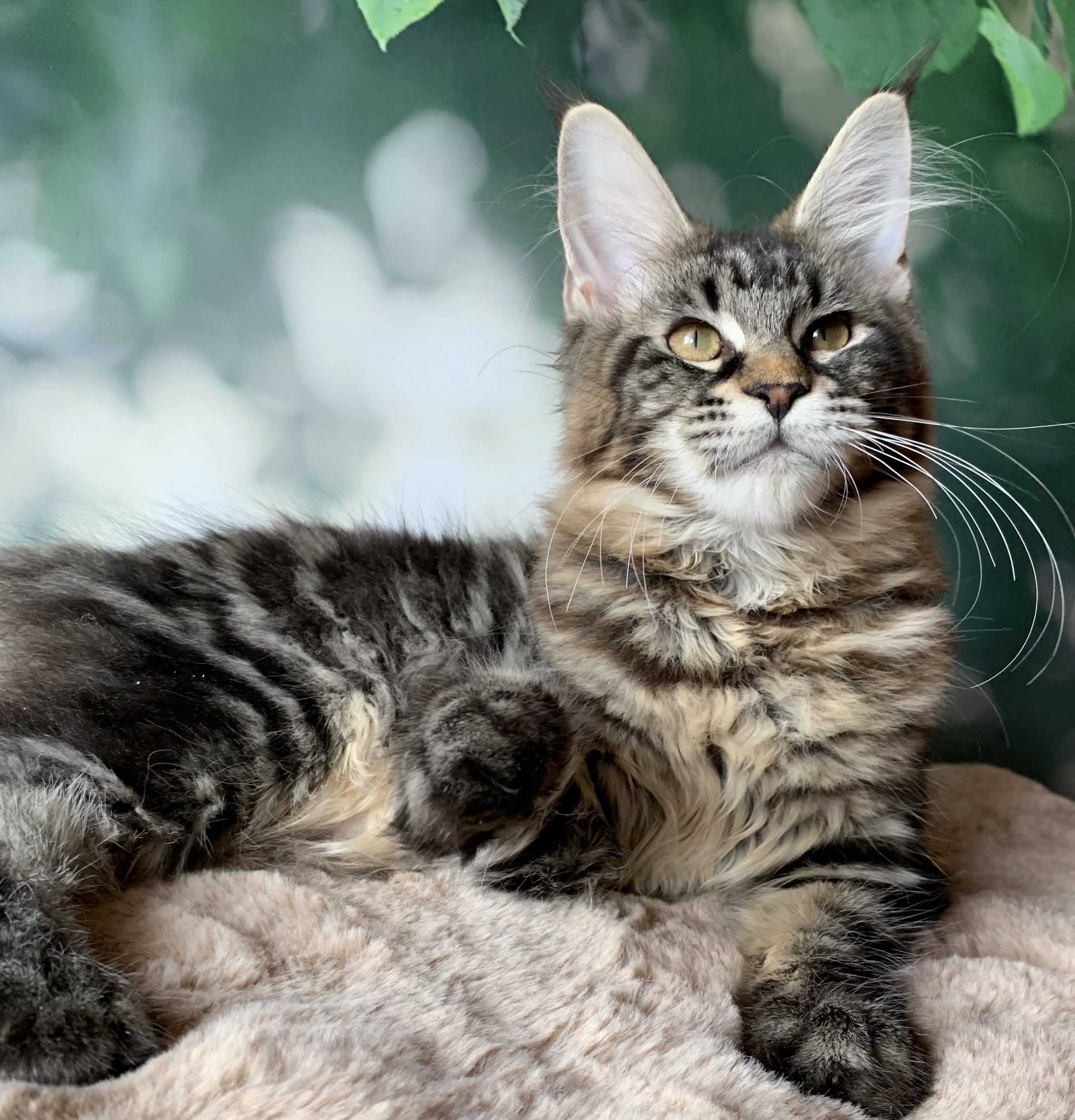 27572BEF-003F-4672-AFF7-3709B3BEE0C4