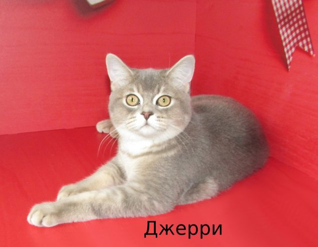 3pwFQEmiPJ8