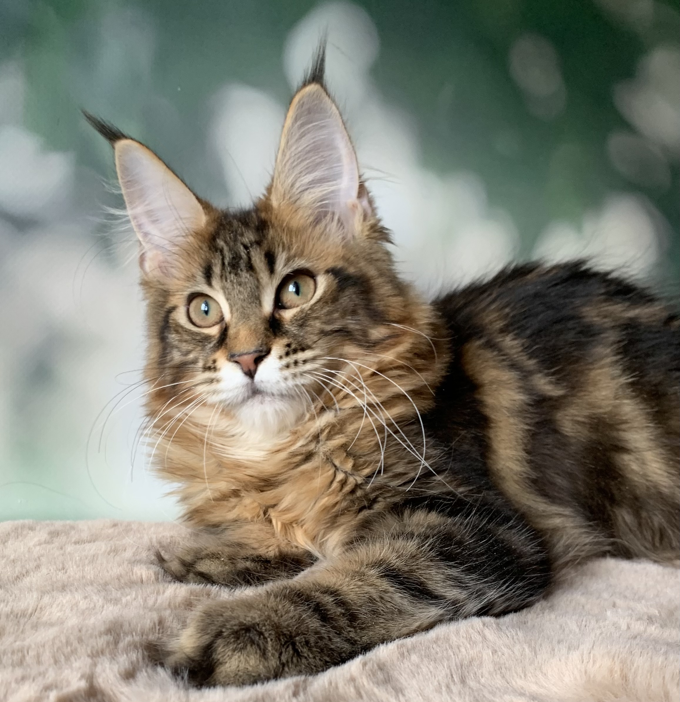 5657C2C4-DE8F-4F1E-901A-3E55F52A8373