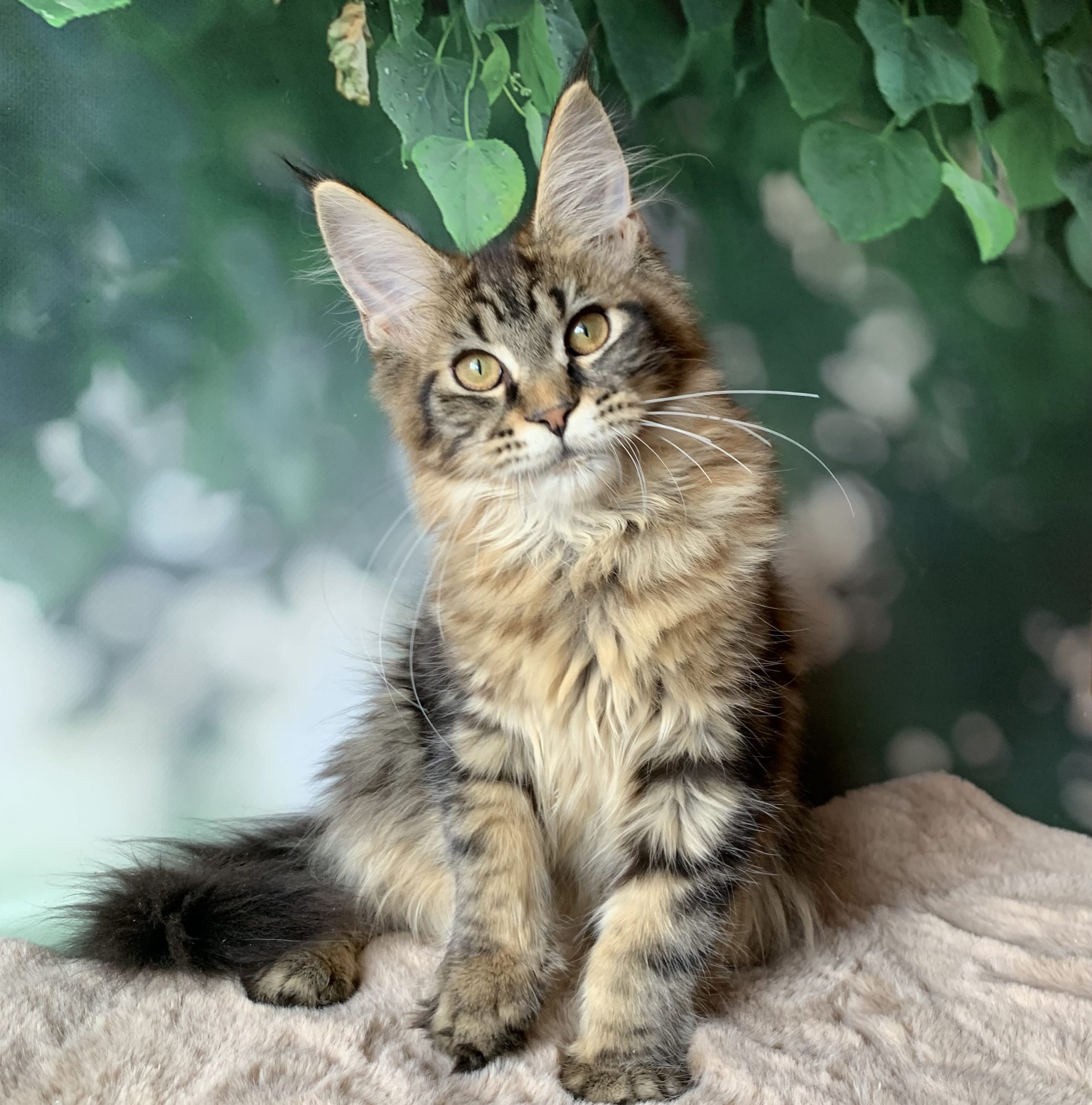 6DB077E0-538F-4332-AFDE-F49700C5DEAA