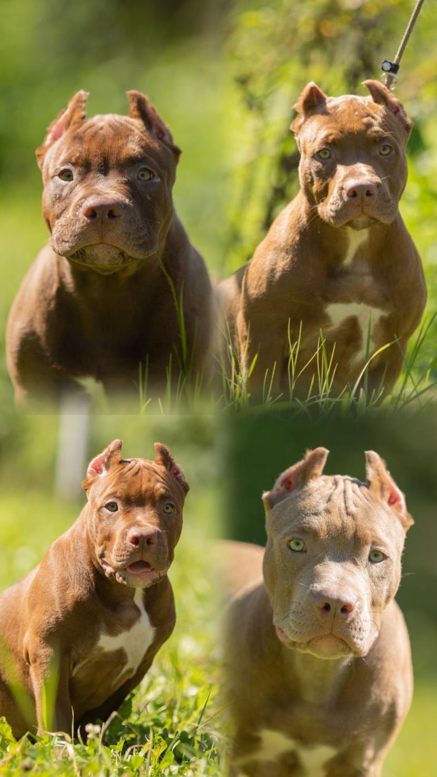 8f32db38-6c29-47dc-85fc-12c59e57e6ae