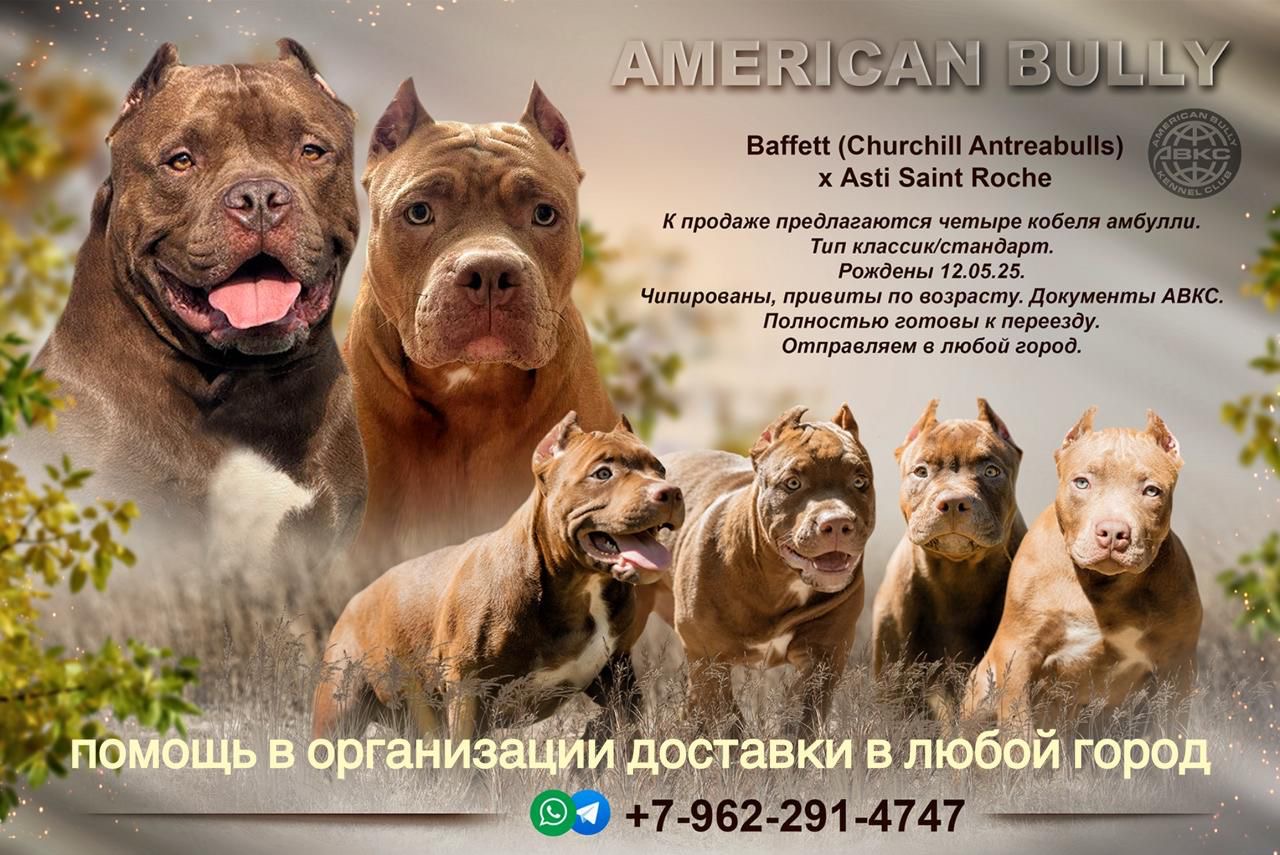 9fe0d9b3-50b2-4136-a8ee-0bff482d0eff