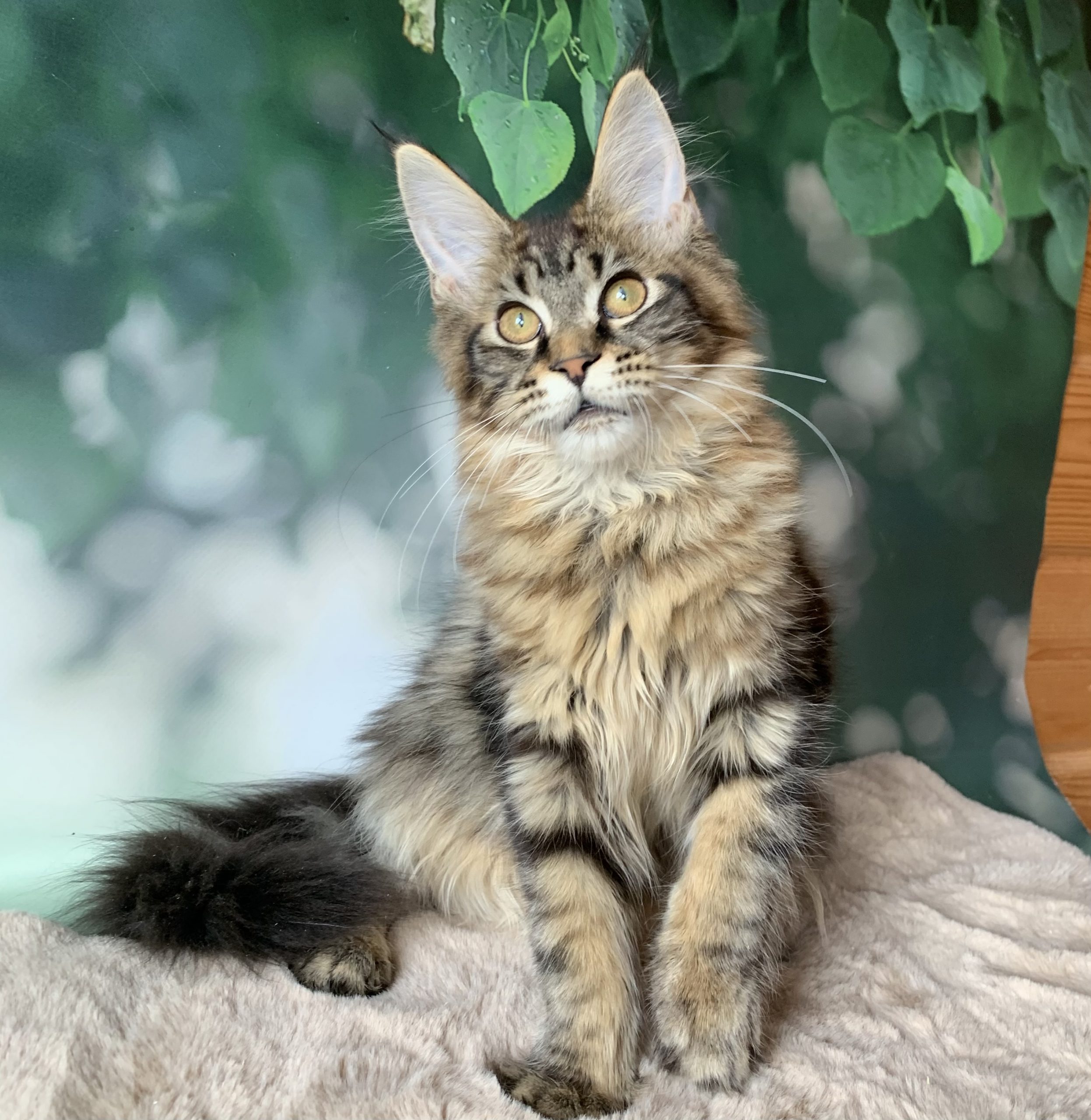 F7D26A2C-06CF-4757-9B48-5534A762146B