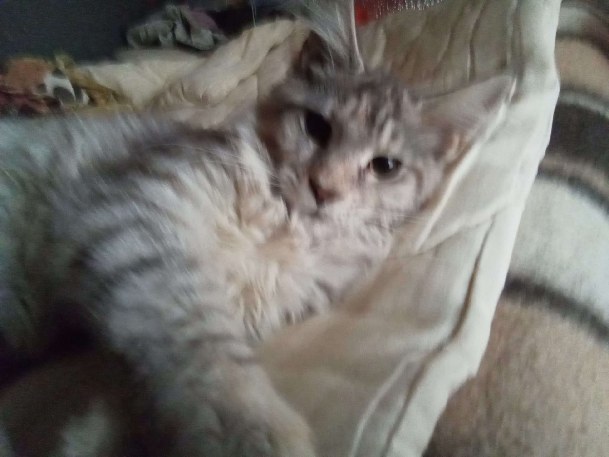 IMG_20250918_070117_652