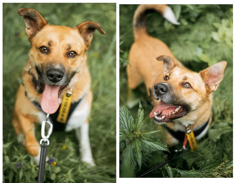 MyCollages-2025-09-11T151911.392-1